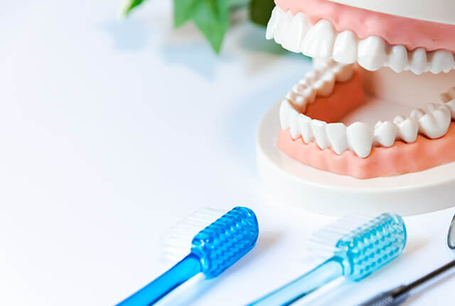 予防歯科（定期検診）