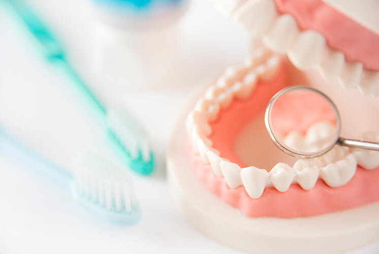 予防歯科（定期検診）